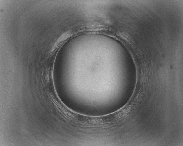 X0000054431451200507291236