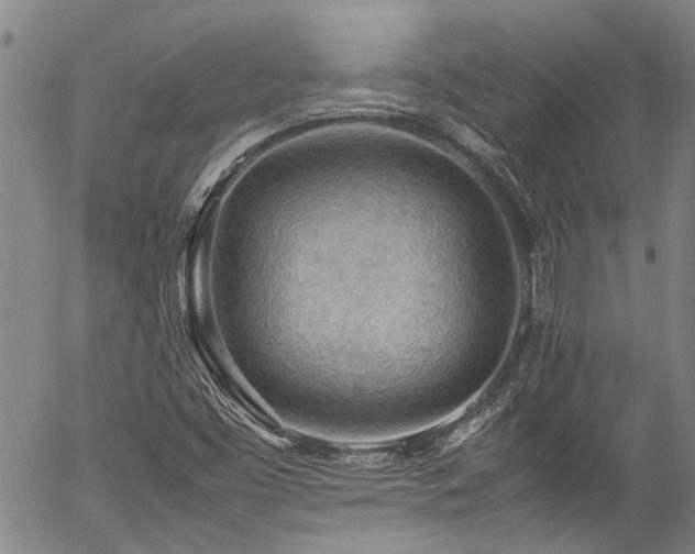X0000054431453200507291236