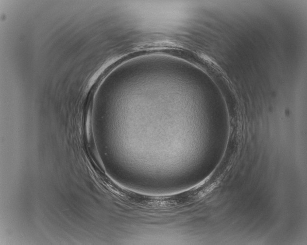 X0000054431457200507291236
