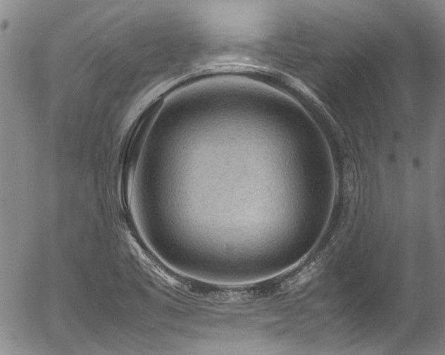 X0000054431461200507291236