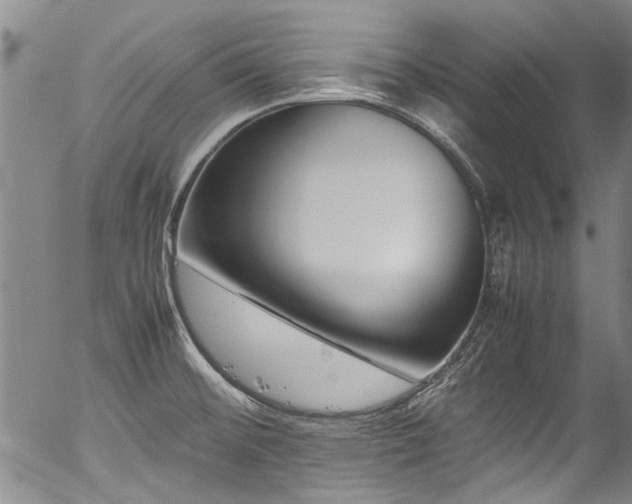 X0000054431476200507291236