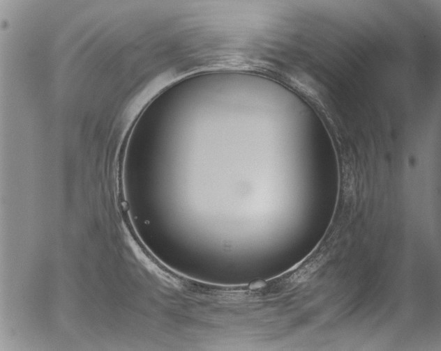 X0000054431479200507291236