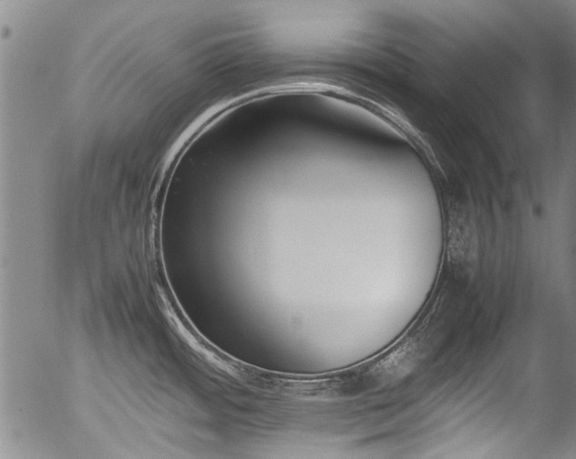 X0000054431484200507291236