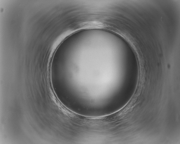 X0000054431488200507291236