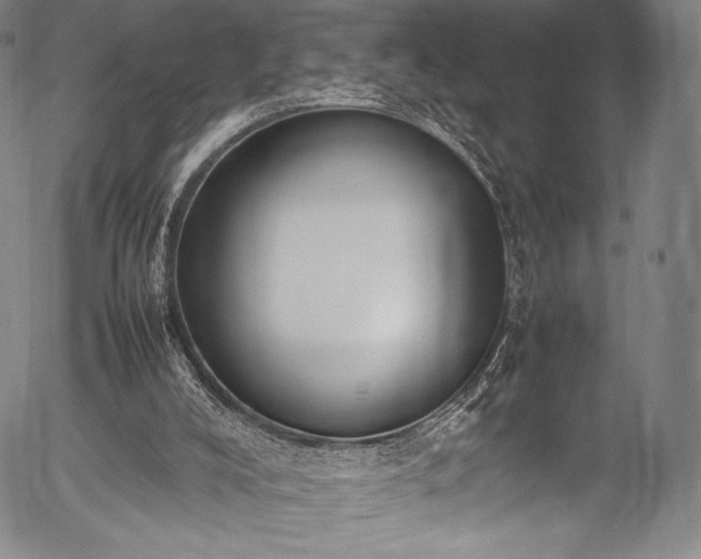 X0000054430008200508011409