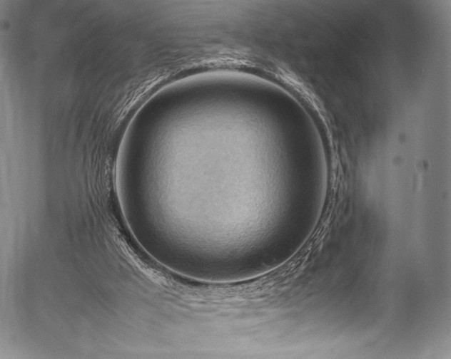 X0000054430009200508011409
