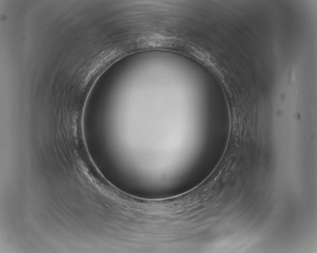 X0000054430010200508011409