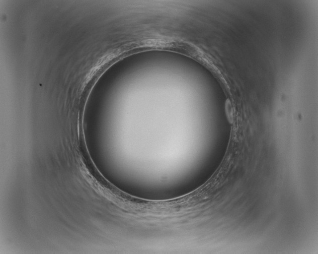 X0000054430011200508011409