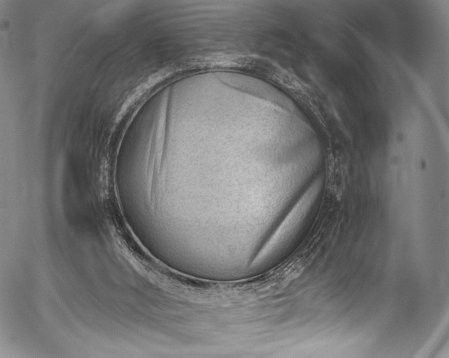 X0000054430012200508011409