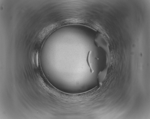 X0000054430014200508011409