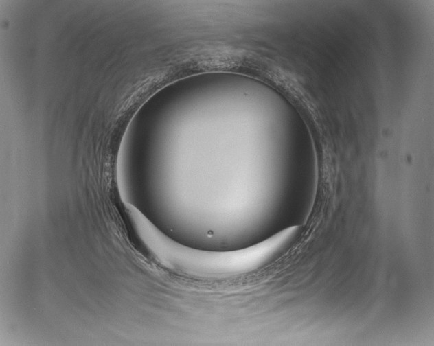 X0000054430017200508011409