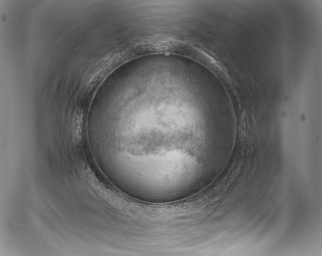 X0000054430018200508011409