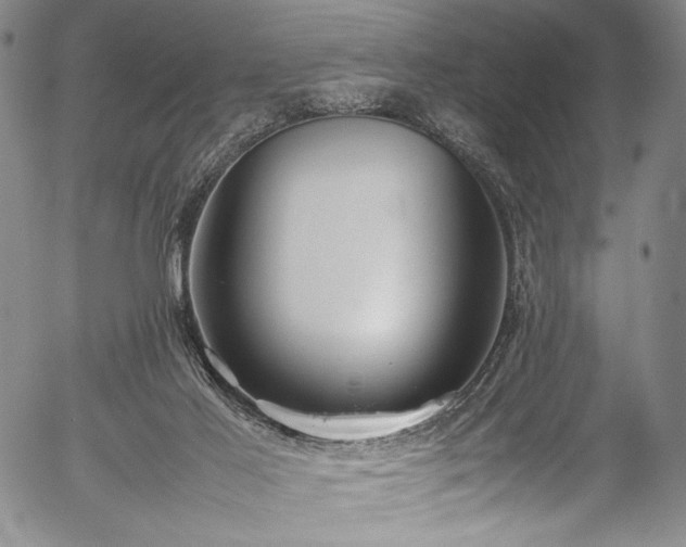 X0000054430021200508011409