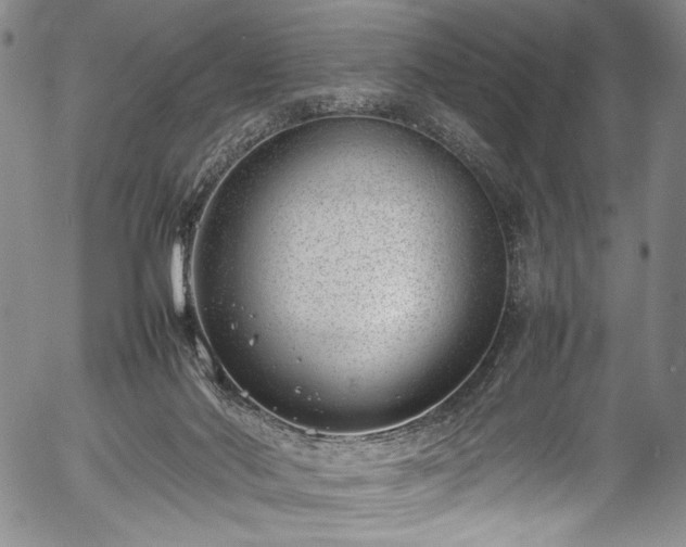 X0000054430022200508011409