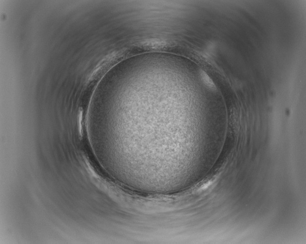X0000054430024200508011409