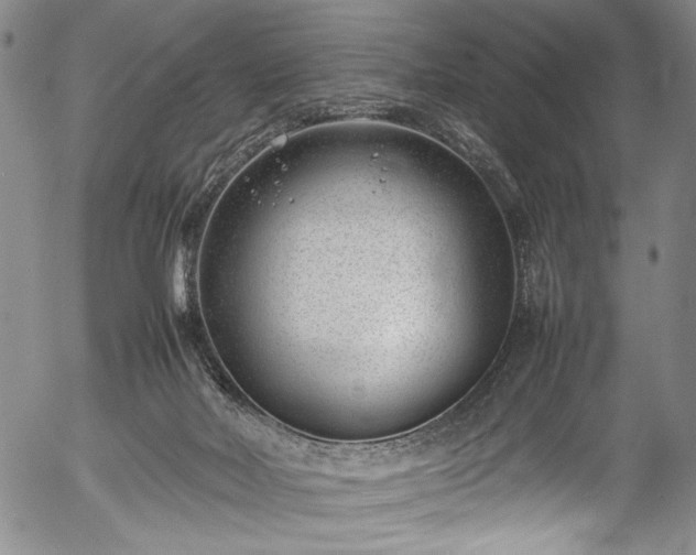 X0000054430026200508011409