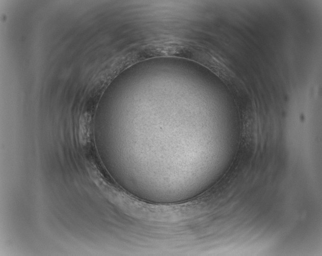 X0000054430030200508011409