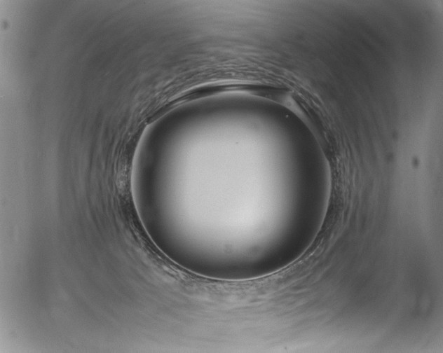 X0000054430033200508011409