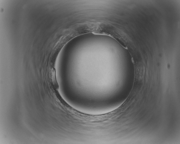 X0000054430035200508011409