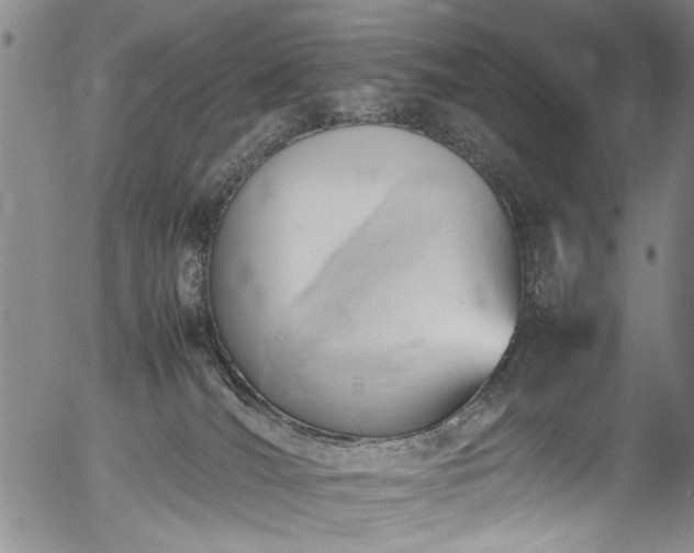 X0000054430036200508011409