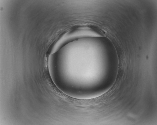 X0000054430041200508011409