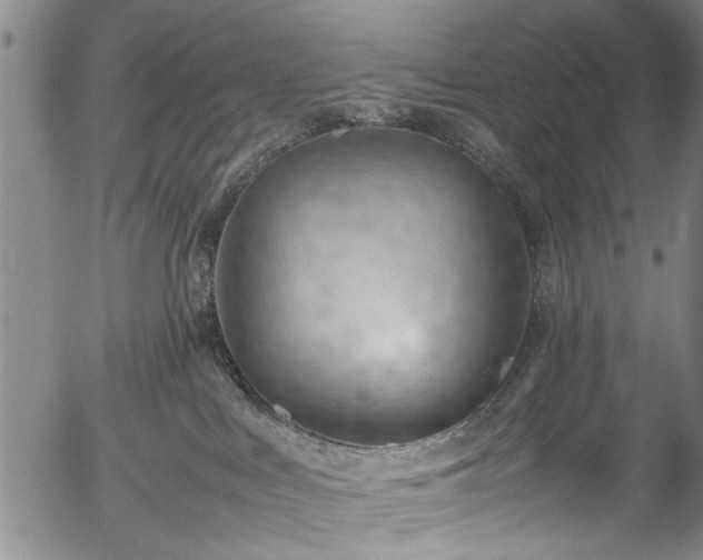 X0000054430043200508011409
