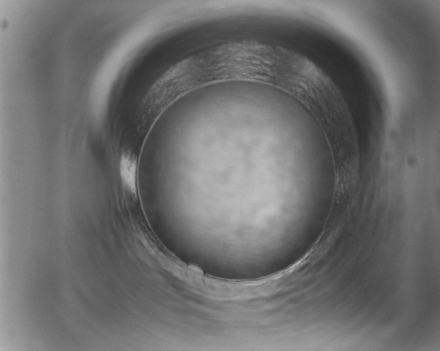 X0000054430047200508011409