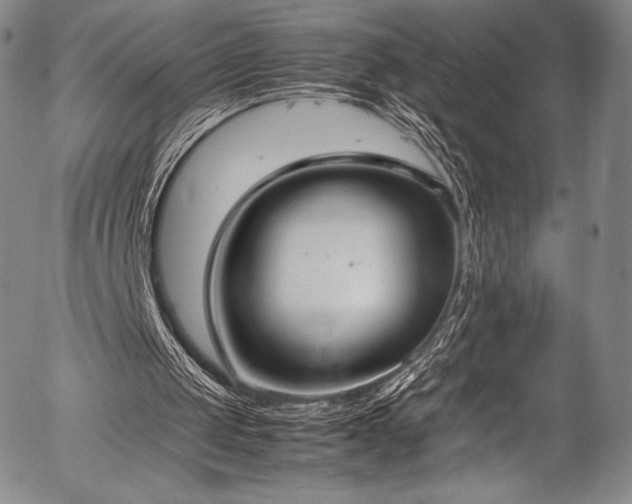 X0000054430049200508011408