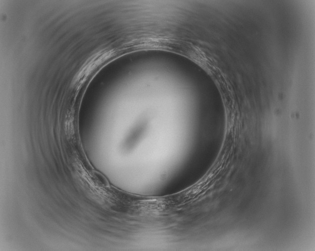 X0000054430050200508011408