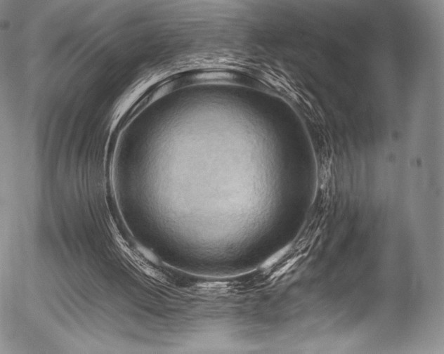X0000054430052200508011408
