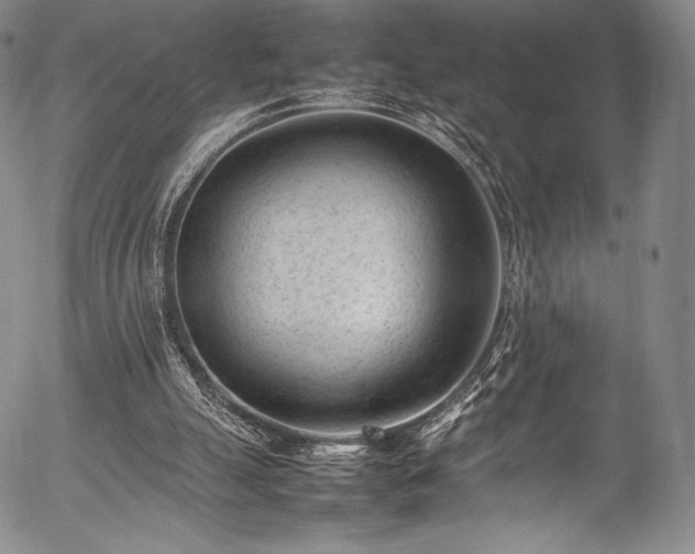 X0000054430055200508011408