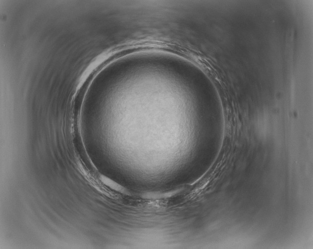 X0000054430056200508011408