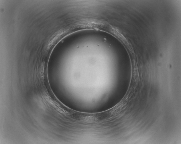 X0000054430058200508011408