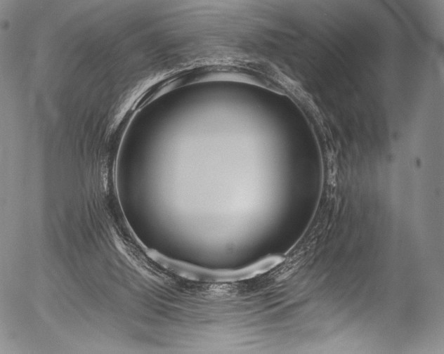 X0000054430060200508011408