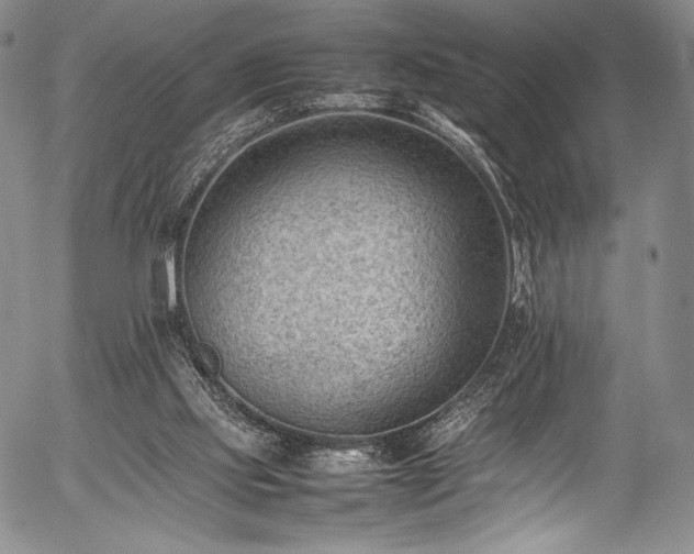 X0000054430061200508011408