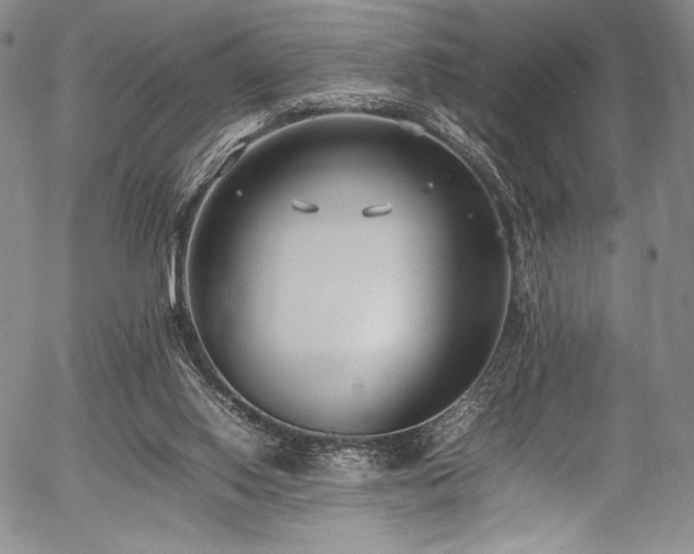 X0000054430062200508011408