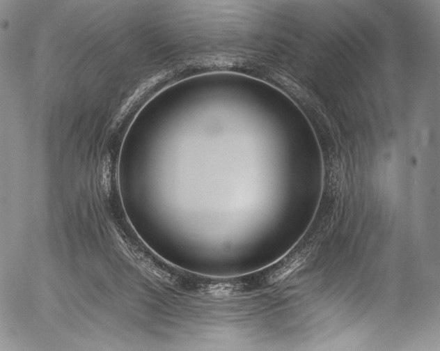 X0000054430064200508011408