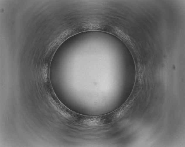X0000054430065200508011408