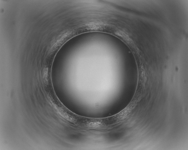 X0000054430066200508011408
