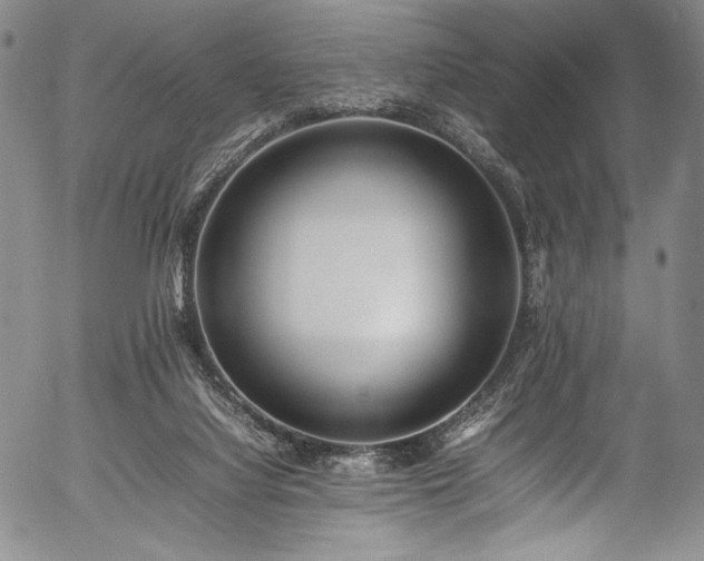 X0000054430068200508011408