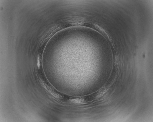 X0000054430069200508011408