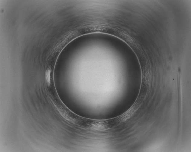 X0000054430070200508011408