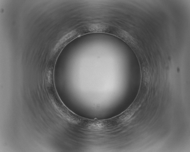 X0000054430071200508011408