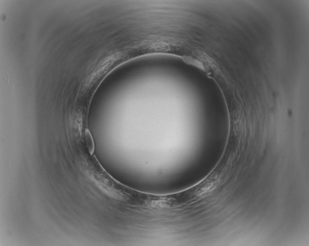 X0000054430072200508011408