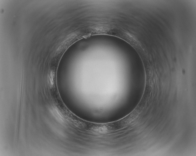 X0000054430075200508011408