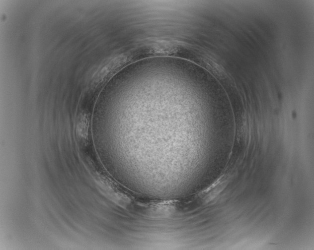 X0000054430078200508011408