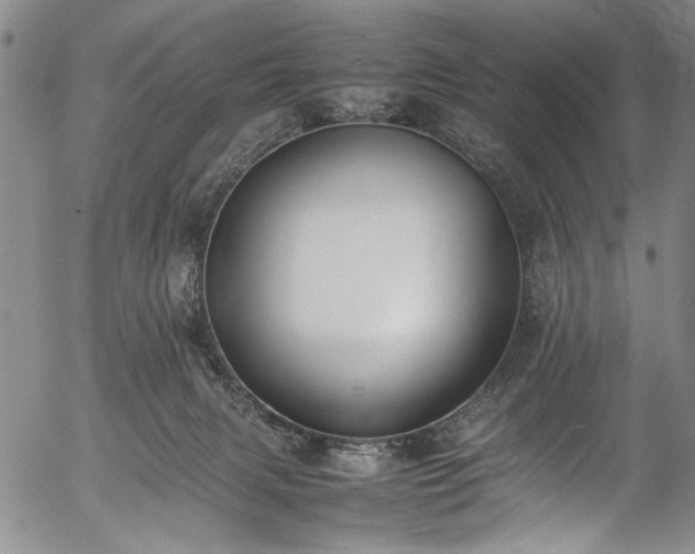 X0000054430079200508011408