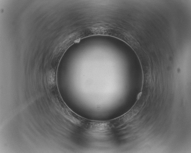 X0000054430081200508011408