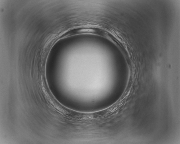 X0000054430097200508011408