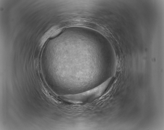 X0000054430099200508011408
